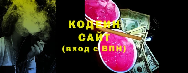 хмурый Вяземский