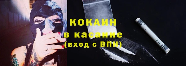 ПСИЛОЦИБИНОВЫЕ ГРИБЫ Вязники