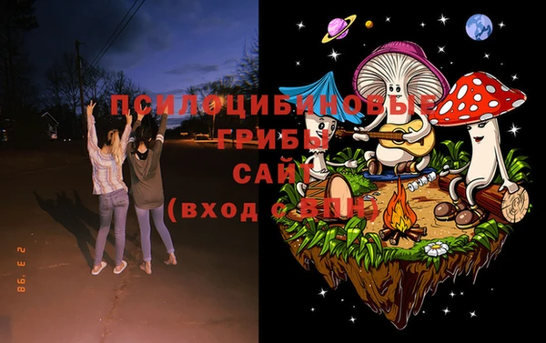 хмурый Вяземский